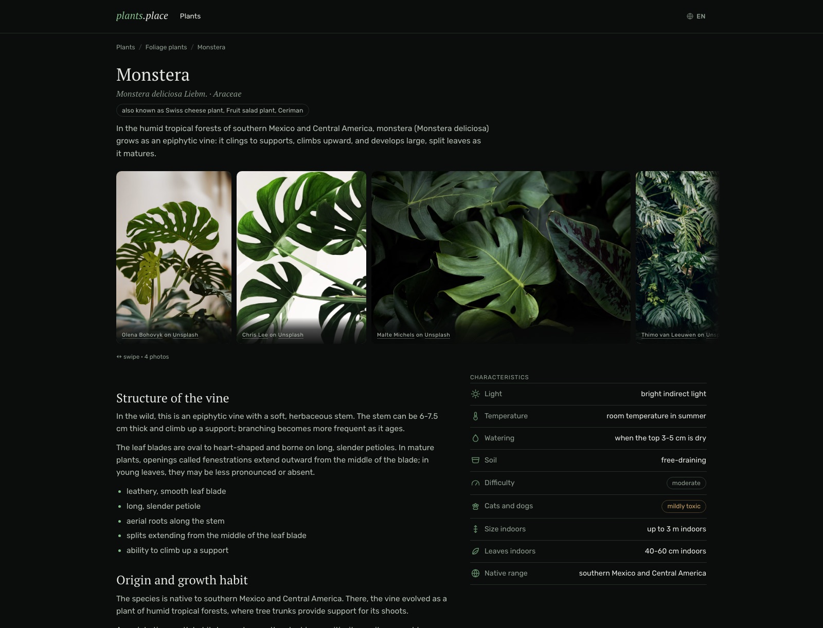 A species page on plants.place: the monstera card with photos, botany text and a characteristics table
