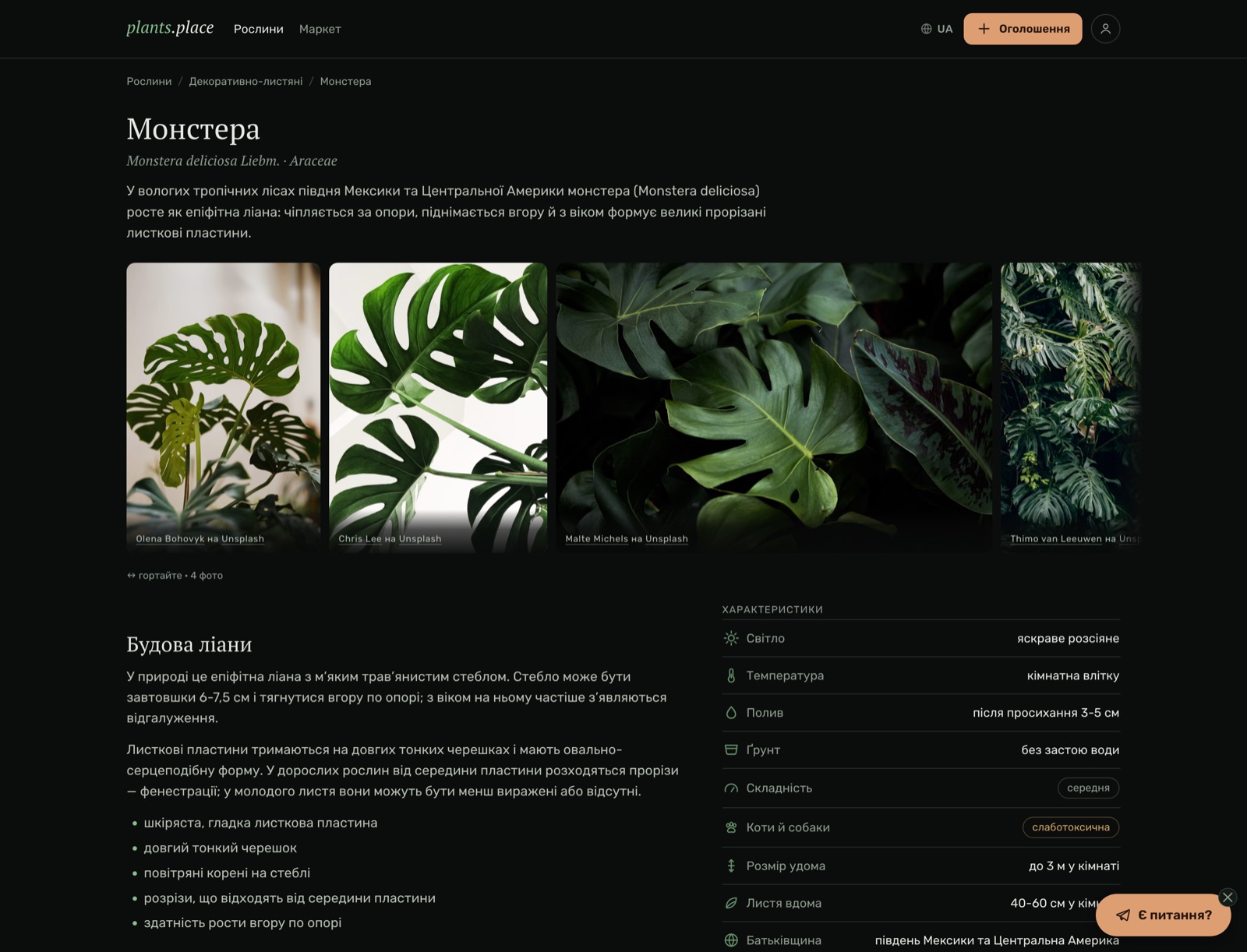 Сторінка виду на plants.place: картка монстери з фотографіями, ботанічним описом і таблицею догляду